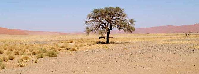 Kalahari 2